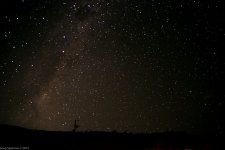 _DSC7643.jpg