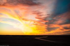 _DSC7617.jpg