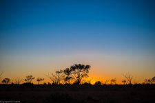 _DSC7650.jpg