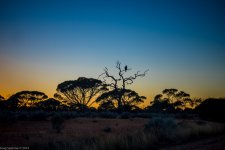 _DSC7655.jpg