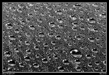 Day90Droplets.jpg