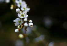 DSC_4824.jpg