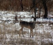 DSCN1508.jpg