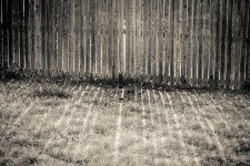 Day90-1.jpg