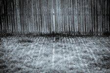 Day90-2.jpg