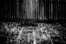 Day90-3.jpg