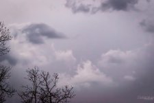 Day90-4.jpg