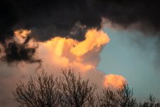 Day90-5.jpg