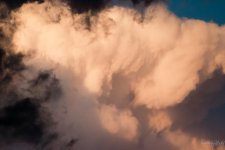 Day90-6.jpg