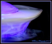 Blue Smoke.jpg