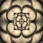 20140308-Shrooms.jpg