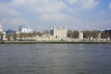 DSC_7379.jpg