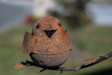 DSC_1939.jpg