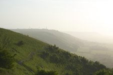 _DSC8002.jpg