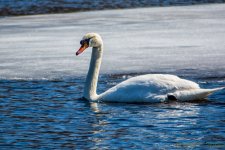 DSC_8245-Edit.jpg
