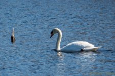DSC_8249.jpg