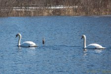 DSC_8251.jpg