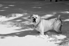 DSC_2129.jpg