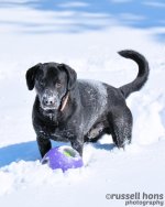 DSC_2152.jpg