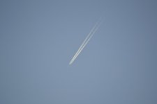 DSC_2521.jpg