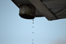 DSC_2544.jpg