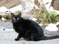 DSCN1516.jpg