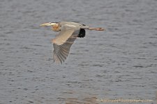 DSC_1359.jpg