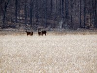 DSCN1518.jpg