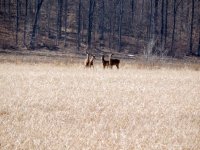 DSCN1519.jpg
