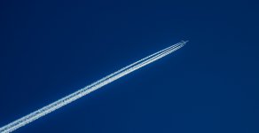 DSC_1166-2 (1000x514).jpg