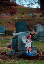 DSC_1333-20140403 (711x1024).jpg