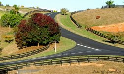 Rotokauri LOL-1.jpg