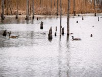 DSCN1534.jpg