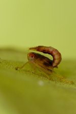 DSC_5410.jpg