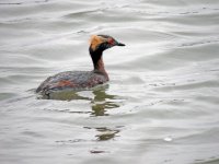 DSCN9177.jpg