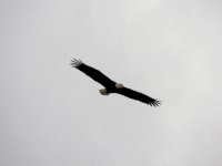 DSCN9170.jpg