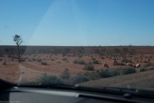 _DSC7677.jpg