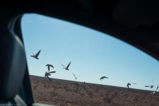 _DSC7678.jpg