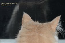 094 Creature-140404_01.jpg