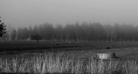 DSC_2097 B&W.jpg