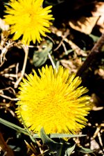 Day94-2.jpg