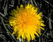 Day94-5.jpg