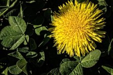 Day94-7.jpg