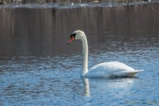 DSC_8336.jpg