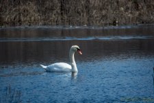 DSC_8340.jpg
