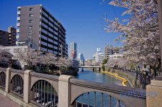 Yokohama 037.jpg