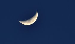 4th Apr 2014 011.JPG