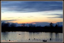 Pond at Sunset.jpg