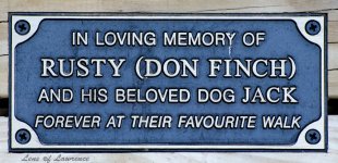 Don Finch LOL.jpg