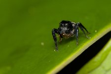DSC_5454.jpg